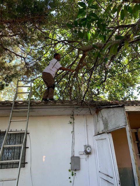 2019: Foundation and Housing Intervention